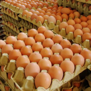Huevos  30 unidades(1planchita)